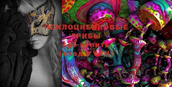 ешки Аркадак