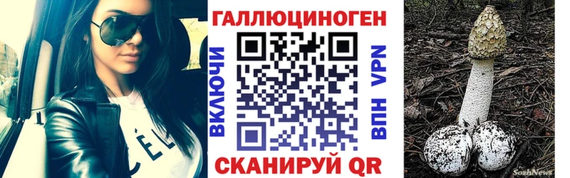 Псилоцибиновые грибы Psilocybine cubensis Калязин