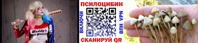 Галлюциногенные грибы мицелий  Калязин 